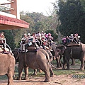 大象集合站