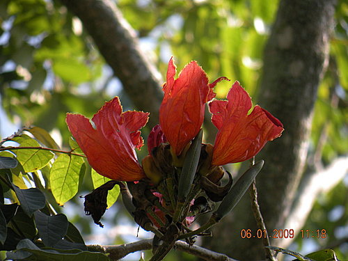 2009_0106_111831.jpg