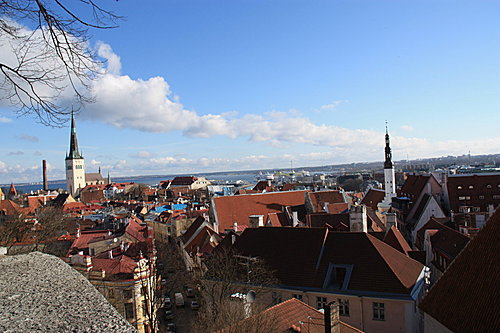 愛沙尼亞塔林城區 494