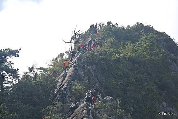 20131130鳶嘴山稍來山賞楓{n} 176.jpg