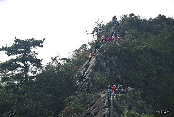 20131130鳶嘴山稍來山賞楓{n} 211.jpg