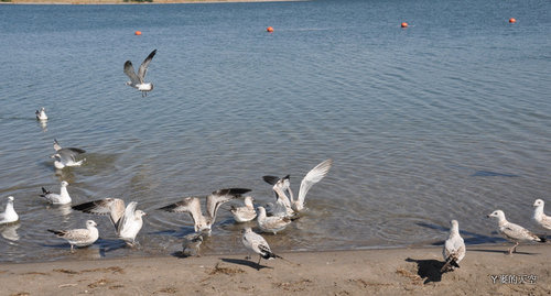 110905大美西[ni-sw二] 427.jpg