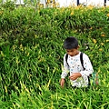 120818花蓮金山針山[sony] 319.jpg