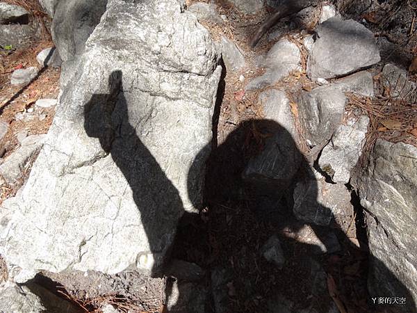 20131130鳶嘴稍來賞楓[s] 378.jpg