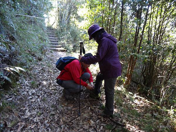 20131130鳶嘴稍來賞楓[s] 744.jpg