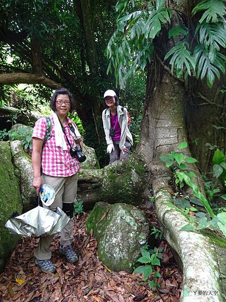20140628寒溪呢豐山[小] 321.JPG