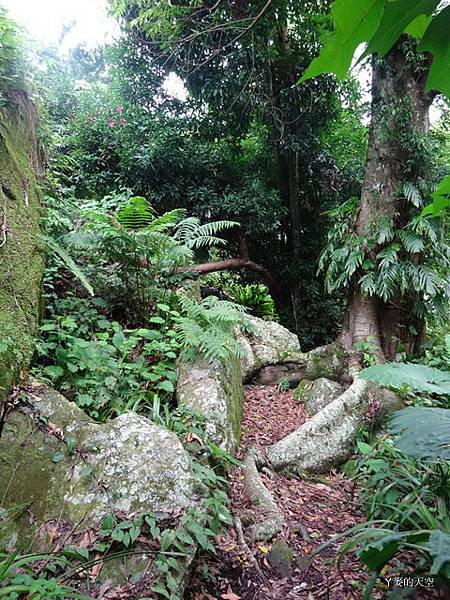 20140628寒溪呢豐山[小] 084.JPG