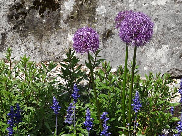 20140517巴爾幹半島行[sony大光1] 375.jpg