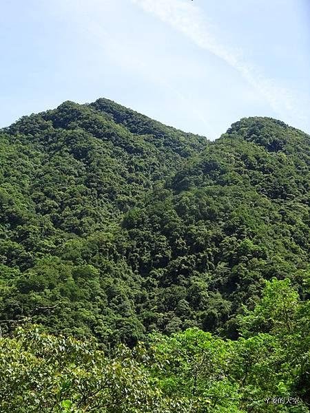 20140720加九寮溪 066.jpg