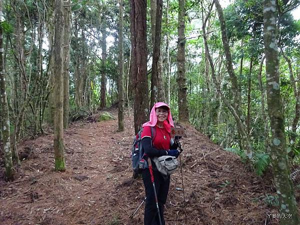 20140817高台山島田山[sw] 175.jpg