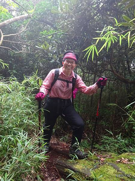 20140817高台山島田山[sw] 192.jpg