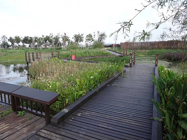 20141005農場&1之4埤塘 185.jpg