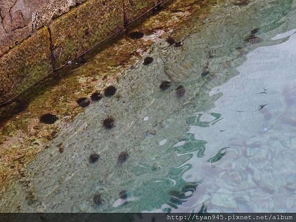 20140517巴爾幹半島行[sw2] 374.jpg