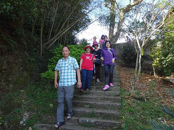 20141108茂林太平茶園[光] 266.jpg