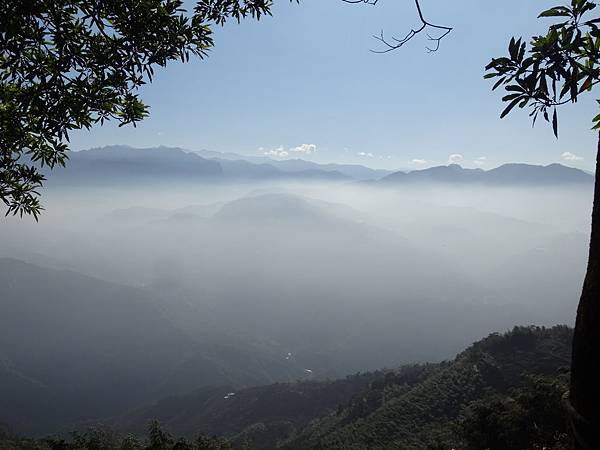 20141108茂林太平茶園[光] 224.jpg