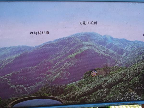 20141108茂林太平茶園[SW] 447.jpg