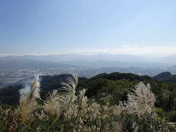 20141123 鶯歌龜山縱走[SW] 501.jpg