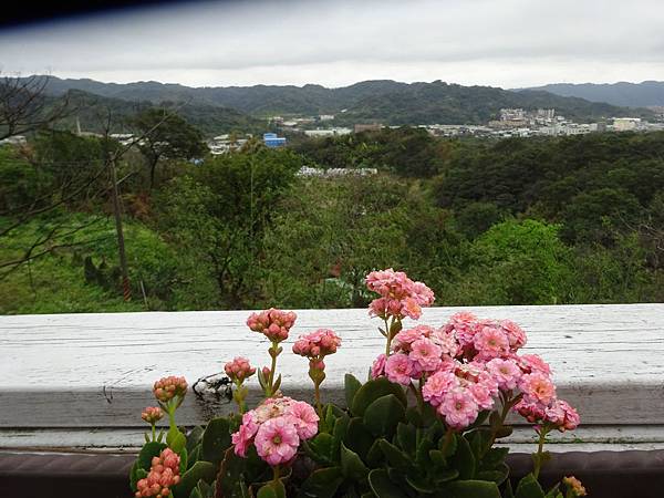 20150301大九芎新春團拜連&威品嘉 178.jpg