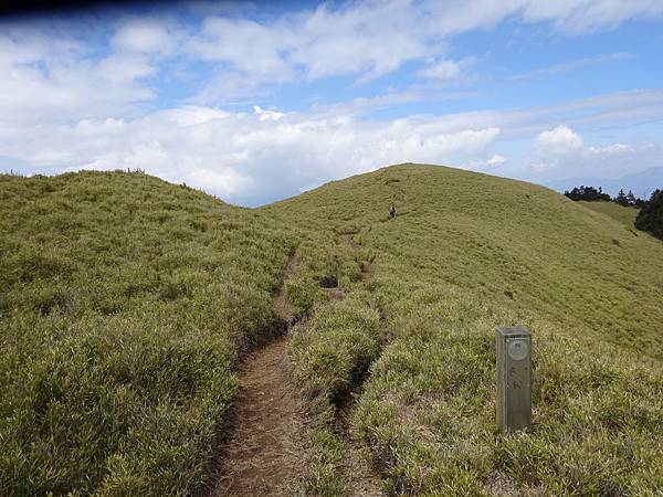 20150313合歡北西峰[sw] 194.jpg