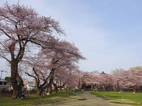 20150418日本東北賞櫻[小] 190.jpg