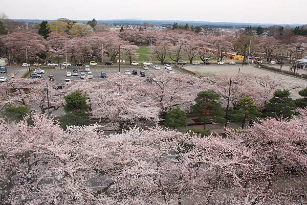 20150418日本東北賞櫻[大] 072.jpg