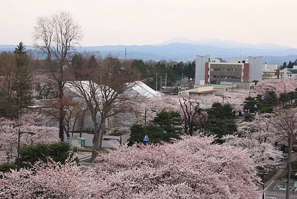 20150418日本東北賞櫻[大] 071.jpg