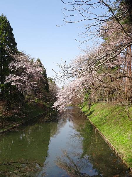 20150418日本東北賞櫻[小] 810.jpg