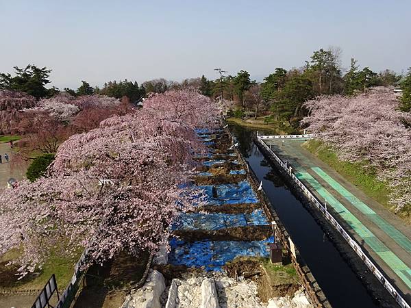 20150418日本東北賞櫻[小] 885.jpg