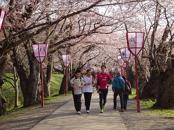 20150418日本東北賞櫻[小] 979.jpg