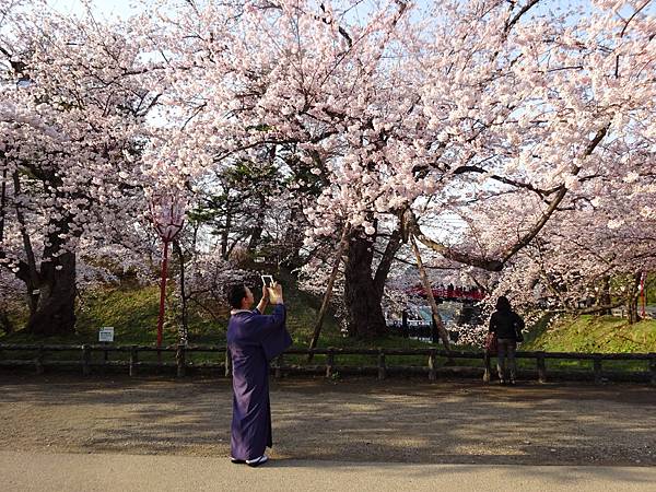 20150418日本東北賞櫻[小] 1024.jpg