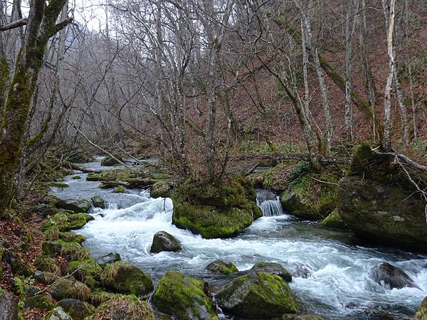 20150418日本東北賞櫻[小] 284.jpg