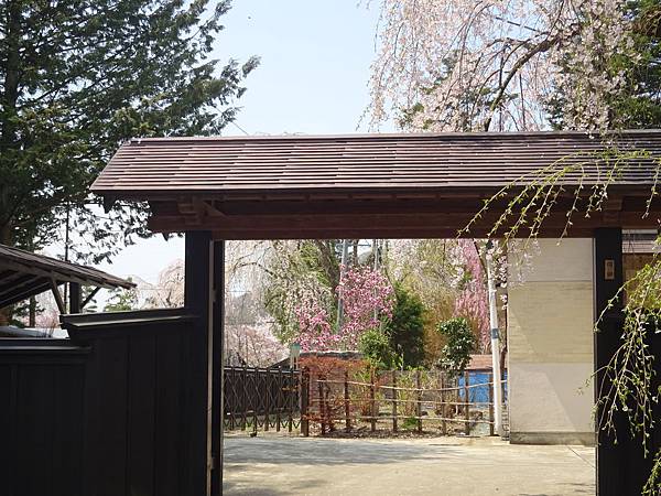 20150418日本東北清森賞櫻[sony] 1869.jpg