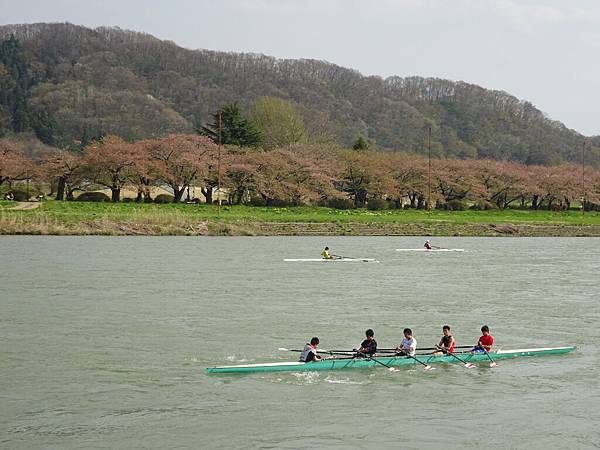 20150418日本東北清森賞櫻[sony] 1907.jpg