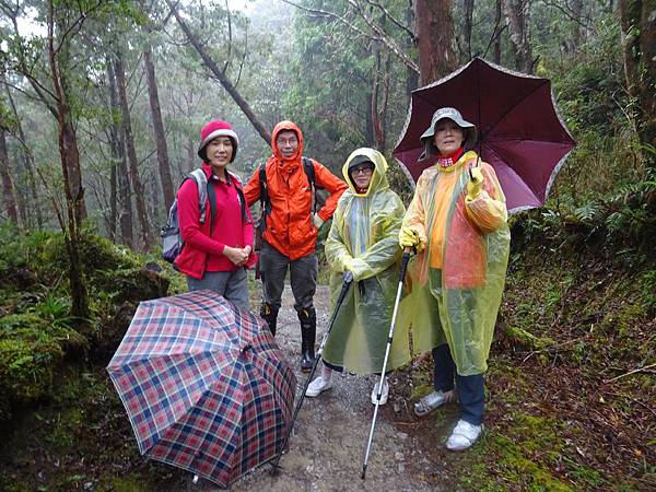 20151031太平山山毛櫸步道 084.jpg