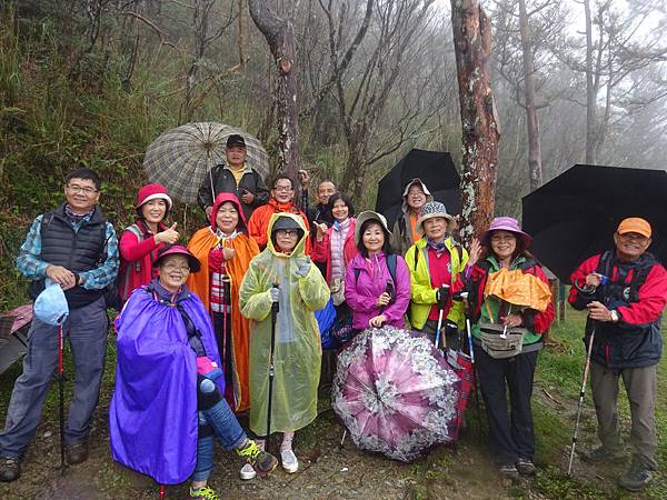 20151031太平山山毛櫸步道 098.jpg