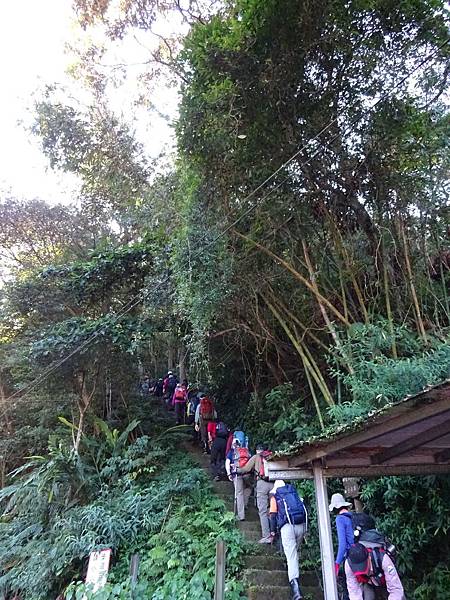 20151213五寮尖[sw] 475.jpg