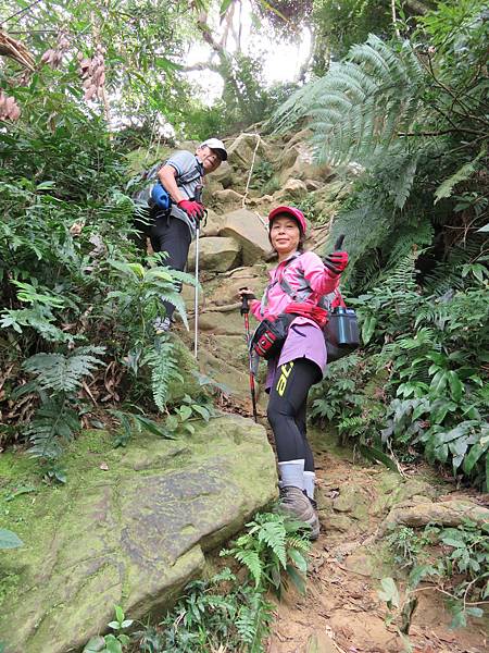 20151213五寮尖[sw] 077.jpg