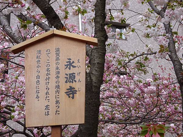 DSC02031.JPG永源寺