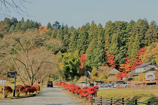 _MG_8287.JPG _MG_8287.JPG