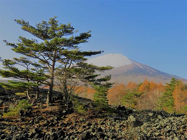 秋遊日本東北尋楓蹤 岩手山 松島 ㄚ麥的天空 桃園市逍遙遊登山協會 痞客邦 秋遊日本東北尋楓蹤 岩手山 松島 ㄚ麥的天空 桃園市逍遙遊登山協會 痞客邦