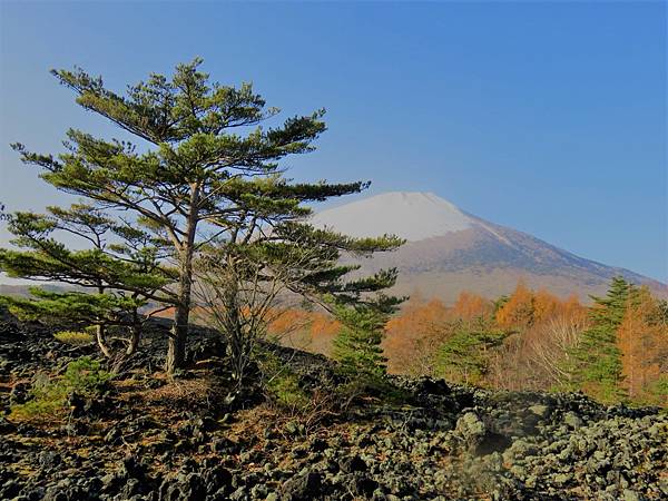 秋遊日本東北尋楓蹤 岩手山 松島 ㄚ麥的天空 桃園市逍遙遊登山協會 痞客邦