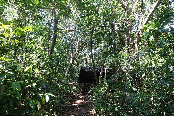 DSC01213.JPG DSC01213.JPG