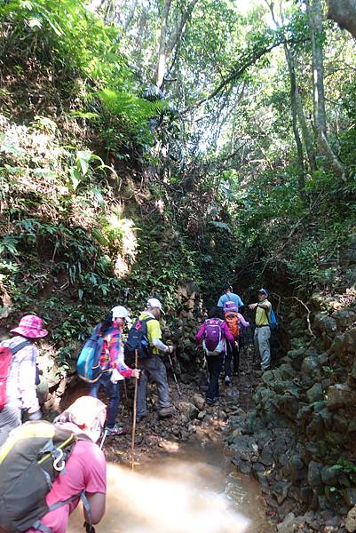 DSC01226.JPG DSC01226.JPG