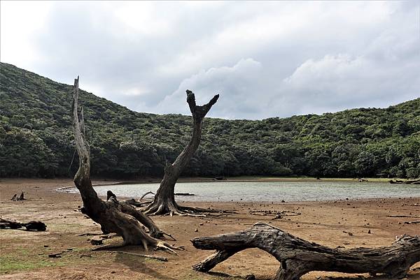 DSC01464.JPG DSC01464.JPG