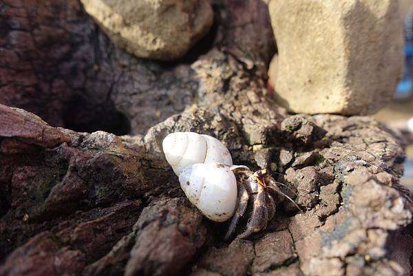 DSC01439.JPG DSC01439.JPG