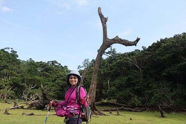 DSC01454.JPG DSC01454.JPG