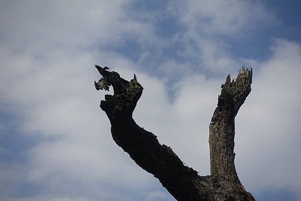 DSC01463.JPG DSC01463.JPG