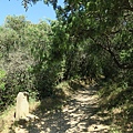 IMG_0764.JPG