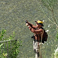IMG_0794.JPG