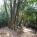 DSC05766.JPG